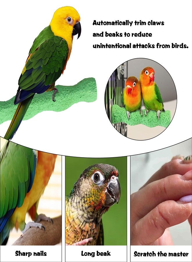 Unigift 3 Pcs Bird Perches,Colorful Rough Birdcage Parrot Scrub Stand Bar Paw Scrub Perch Platform Grinding Stick Stand Bird Cage Accessories for Bird Parrot Budgies Parakeet Cockatiels Conure Lovebird - Image 3